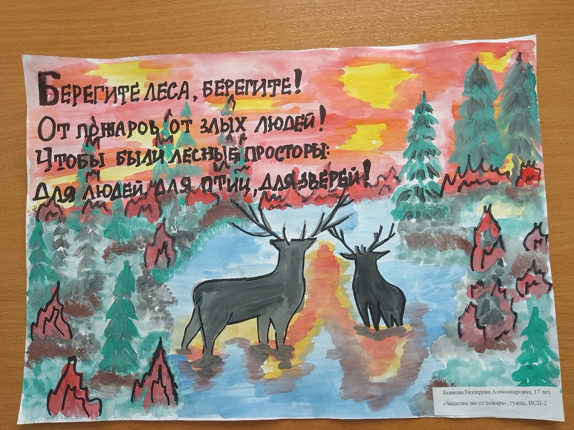 Конкурс плакатов «Защитим лес от огня!»